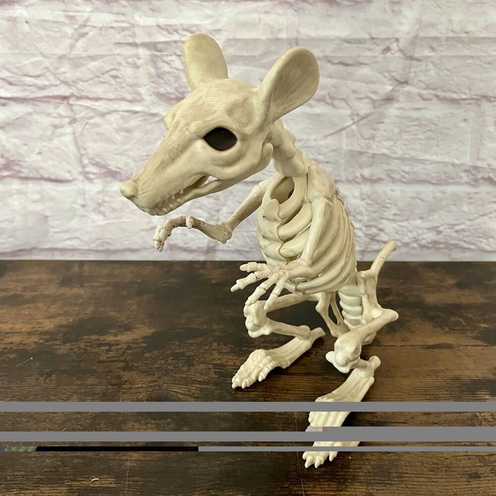 Rat Skeleton Halloween Decoration Viral TikTok Mouse Bones 11” Creepy